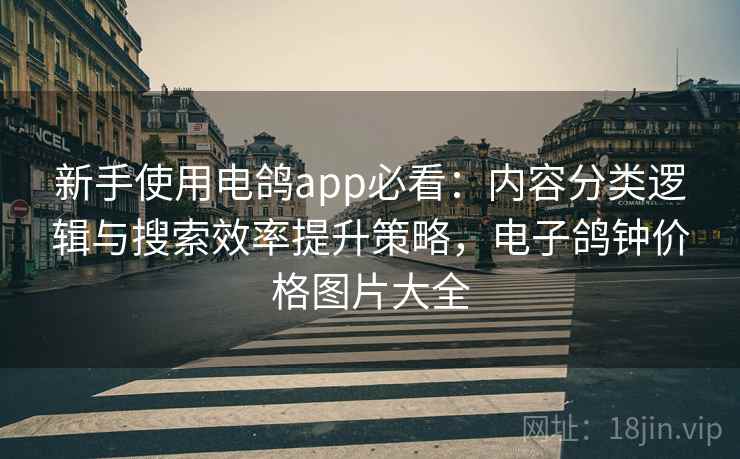 新手使用电鸽app必看：内容分类逻辑与搜索效率提升策略，电子鸽钟价格图片大全
