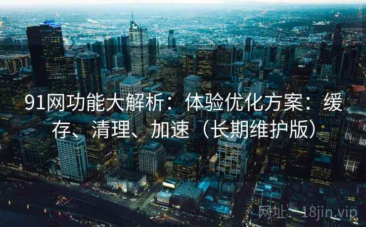 91网功能大解析：体验优化方案：缓存、清理、加速（长期维护版）