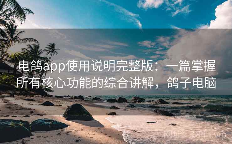 电鸽app使用说明完整版：一篇掌握所有核心功能的综合讲解，鸽子电脑