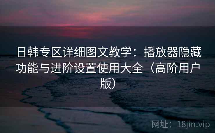 日韩专区详细图文教学：播放器隐藏功能与进阶设置使用大全（高阶用户版）