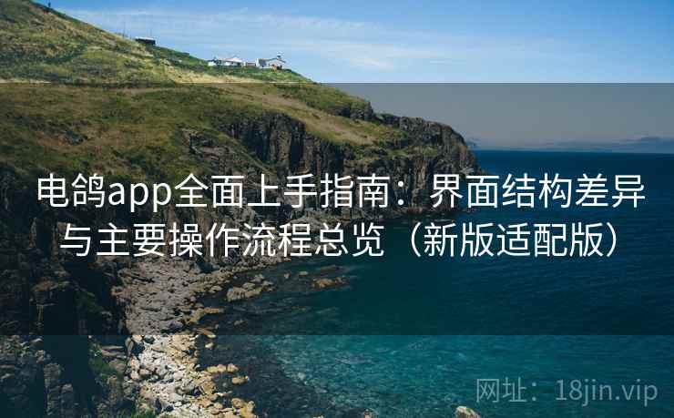 电鸽app全面上手指南：界面结构差异与主要操作流程总览（新版适配版）
