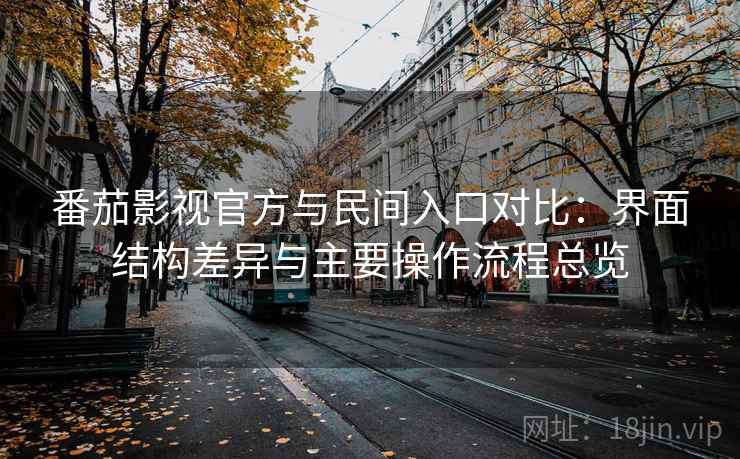 番茄影视官方与民间入口对比：界面结构差异与主要操作流程总览