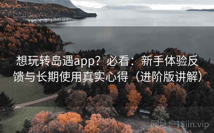 想玩转岛遇app？必看：新手体验反馈与长期使用真实心得（进阶版讲解）