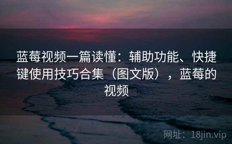 蓝莓视频一篇读懂:辅助功能、快捷键使用技巧合集(图文版),蓝莓的视频 蓝莓视频一篇读懂:辅助功能、快捷键使用技巧合集(图文版),蓝莓的视频
