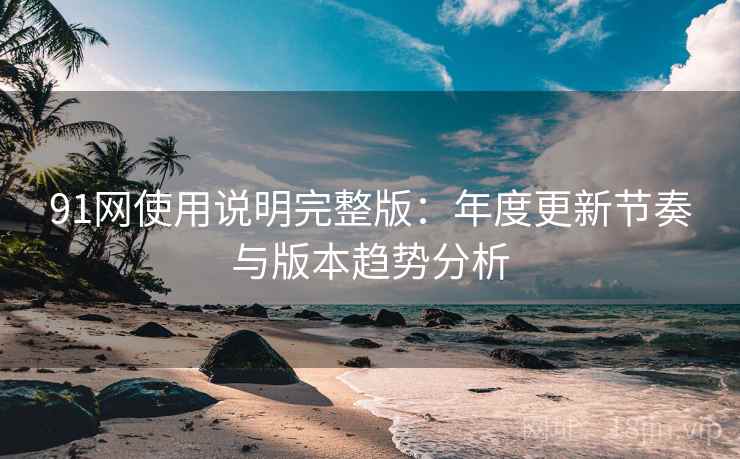 91网使用说明完整版：年度更新节奏与版本趋势分析