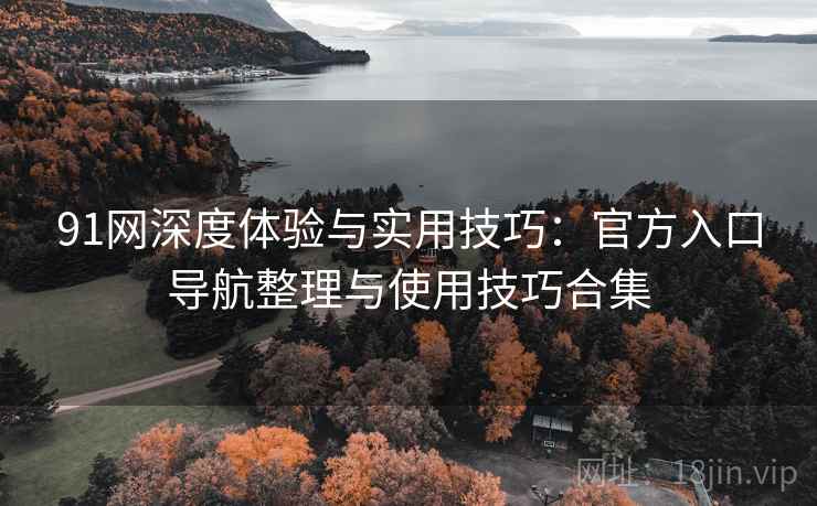91网深度体验与实用技巧:官方入口导航整理与使用技巧合集 91网深度体验与实用技巧:官方入口导航整理与使用技巧合集